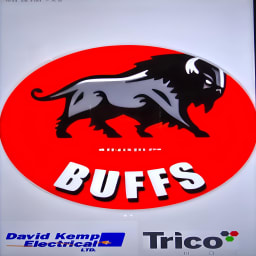 The Buffaloes CC logo