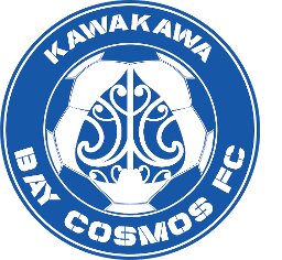 Bay Cosmos FC logo