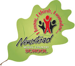 Newstead Model School logo