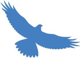 Rototuna High Schools logo