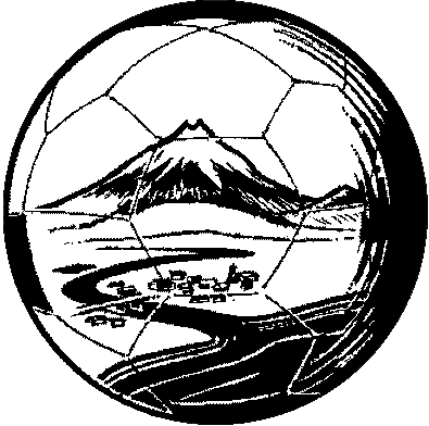 Waitara Soccer Club logo
