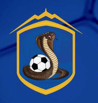 Te Aroha Cobras Junior AFC logo