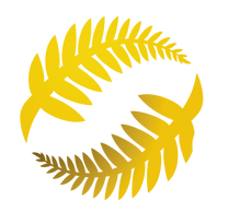 Capital Futsal logo