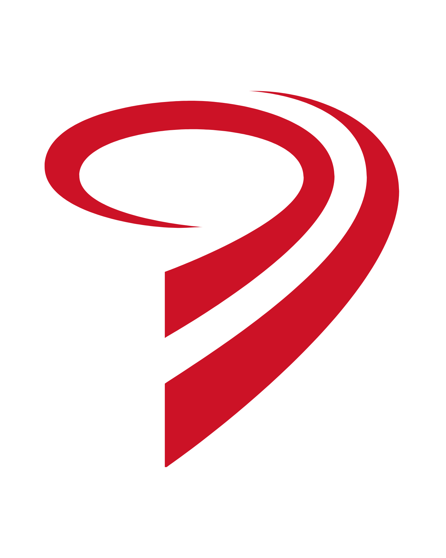 Christchurch Netball logo