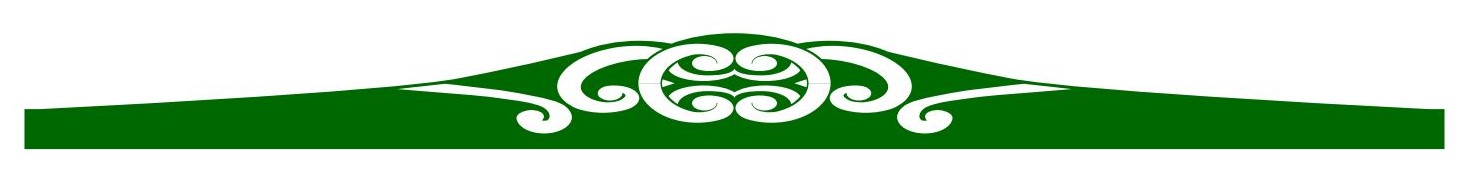 TKKM o Te Raki Paewhenua logo