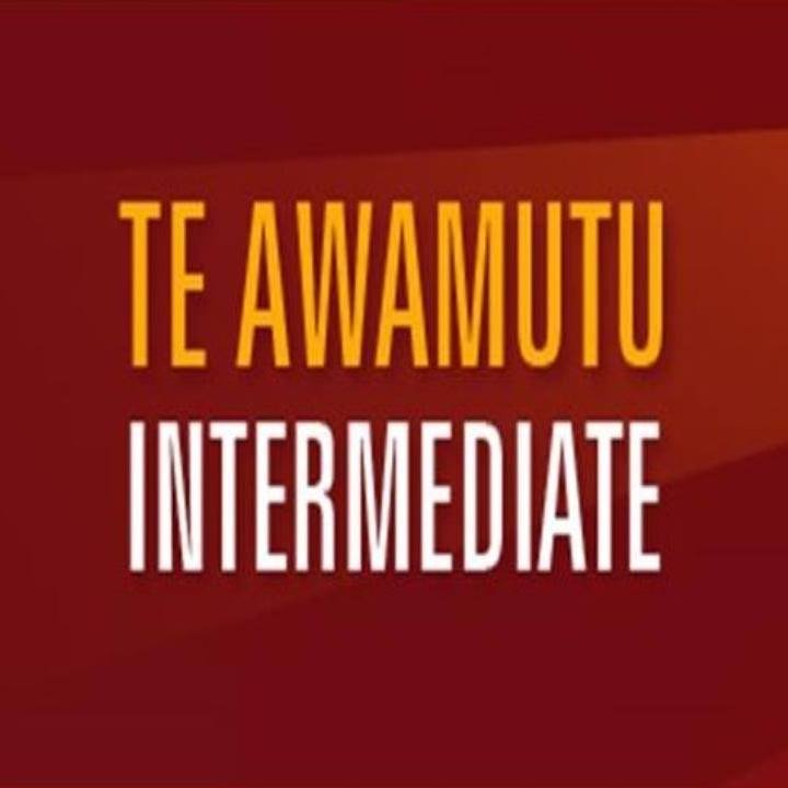 Te Awamutu Intermediate logo