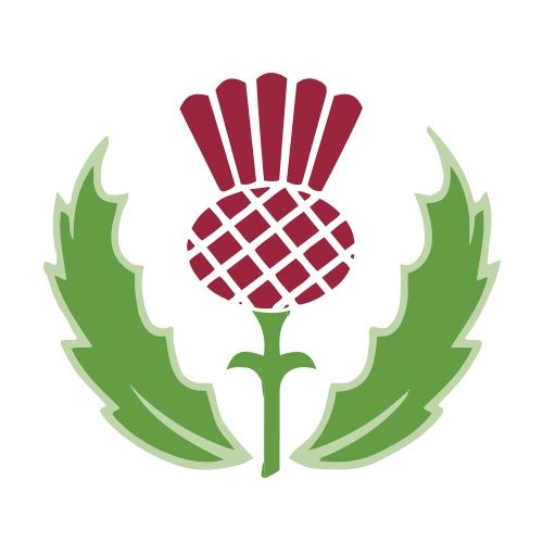 Balmacewen Intermediate logo