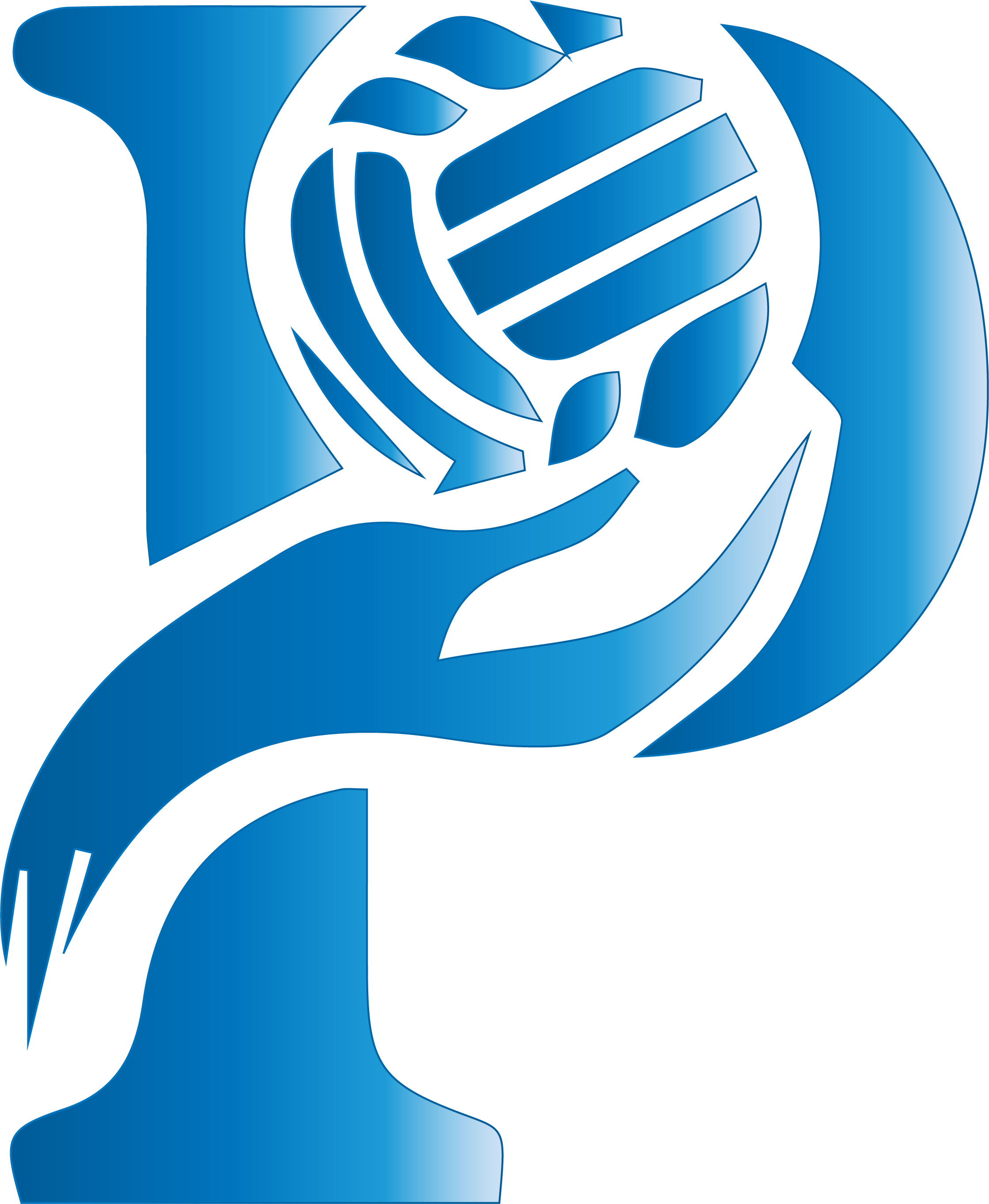Puni Netball Club logo