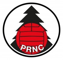Papatoetoe Rangers Netball Club logo
