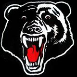 Marton Bears Netball logo
