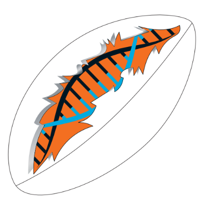B12 Sports Club Ltd logo