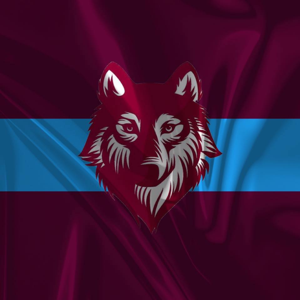 Avalon Rugby Netball Club logo