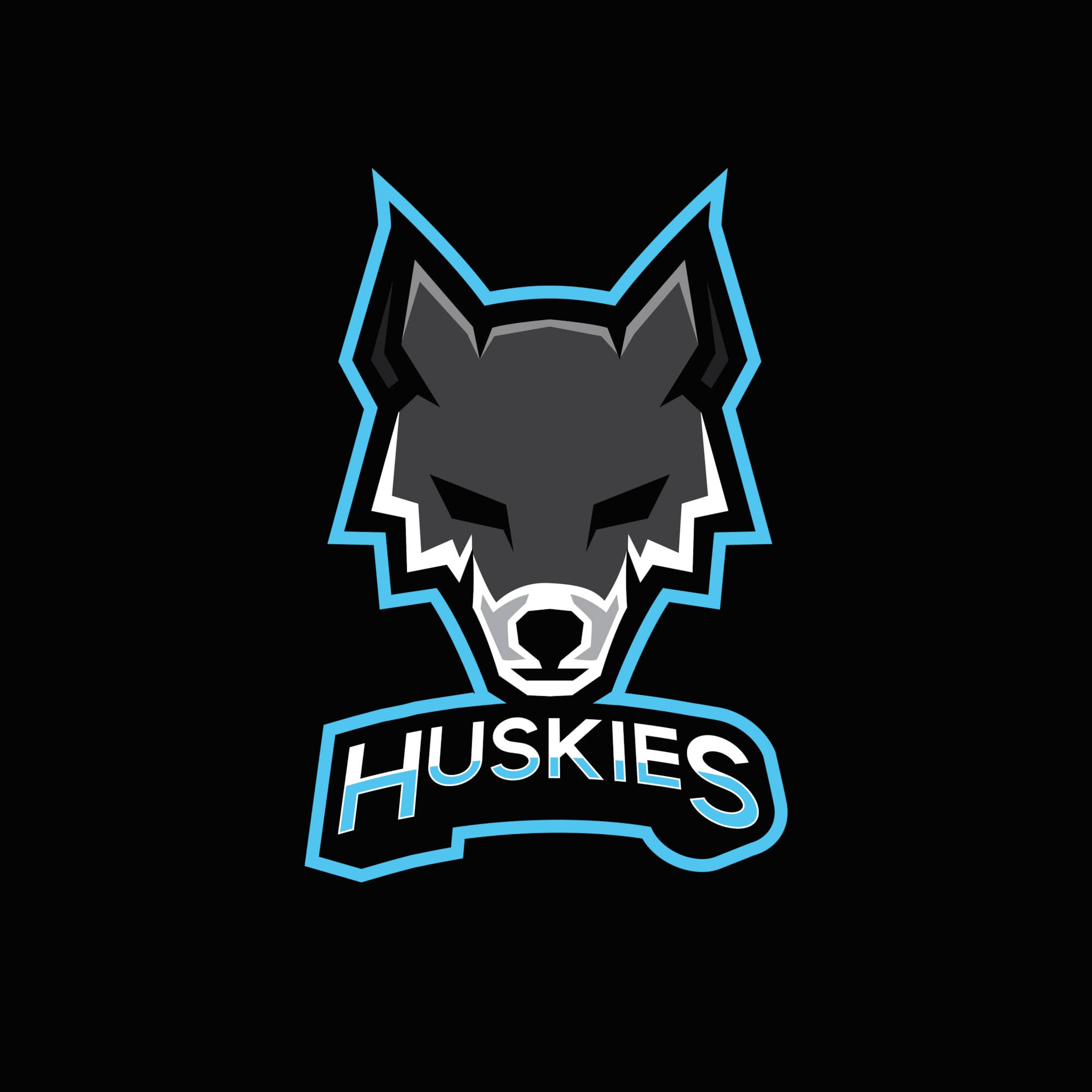 Huskies Community Sports Club logo