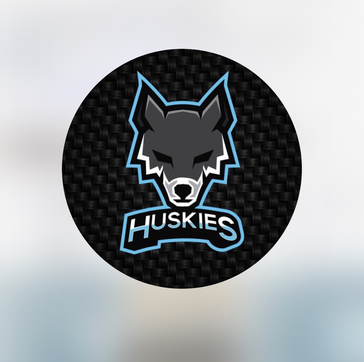Huskies Netball logo