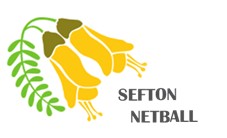 SEF logo