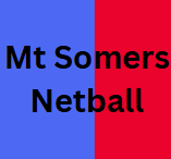 Mount Somers Netball logo