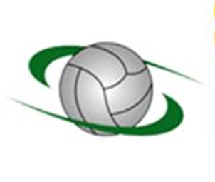 Steelformers Netball Club logo