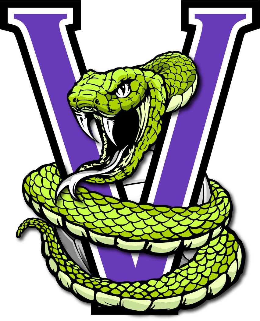 Vipers Netball logo
