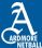 Ardmore Netball Club logo