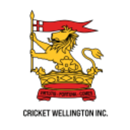 Wellington Veterans Cricket logo