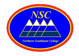NSC logo