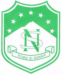 Normanby School logo