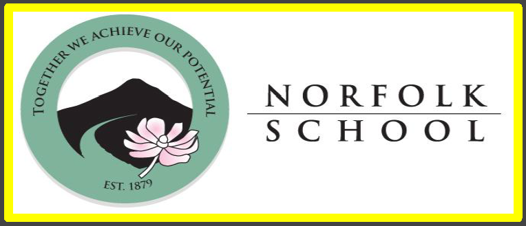 Norfolk School logo