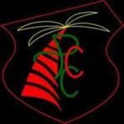 Palmerston CC logo