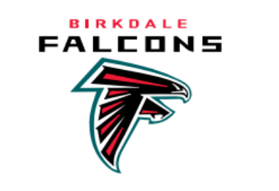 Birkdale Falcons Softball Club Inc. logo