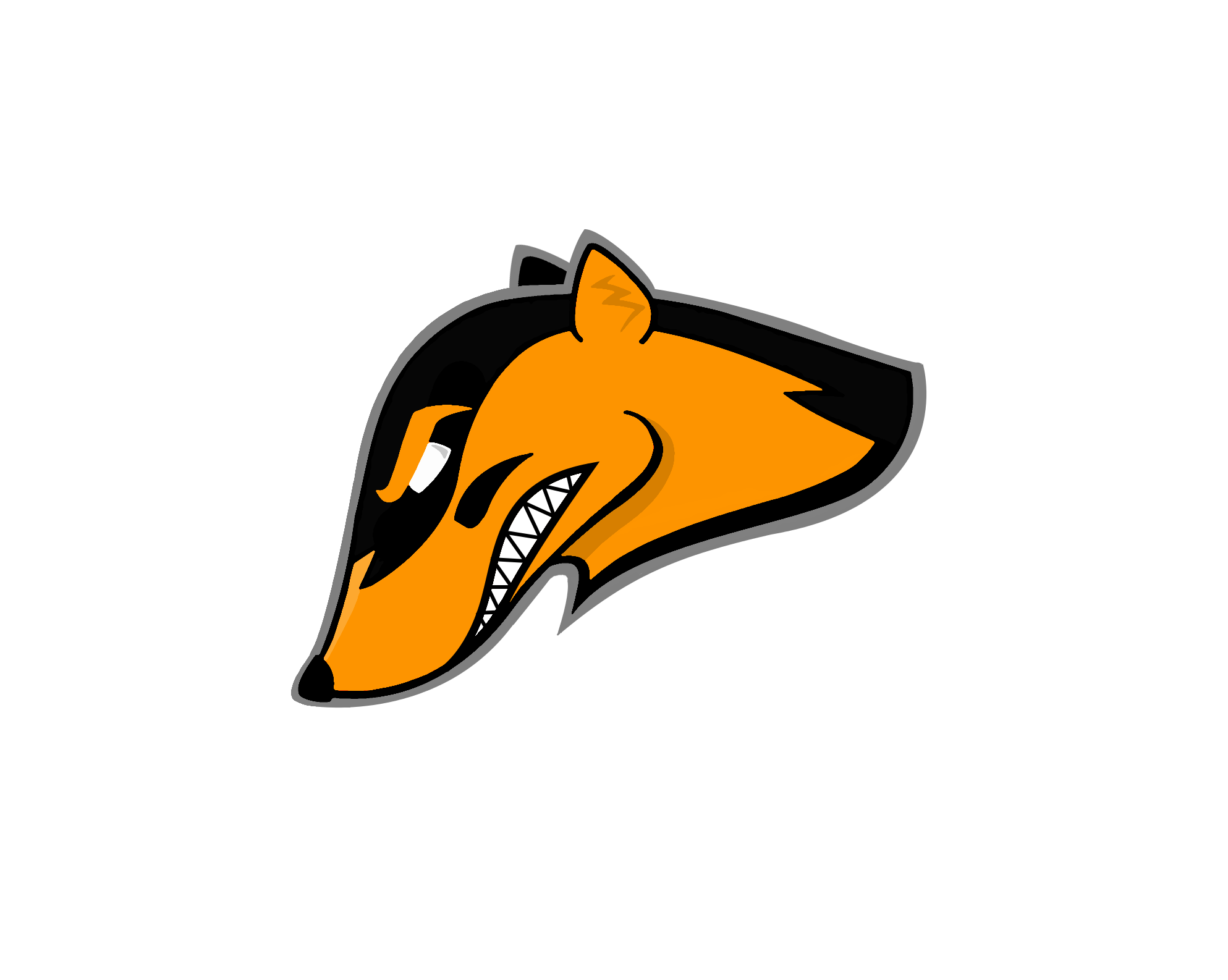Nelson American Football Club logo