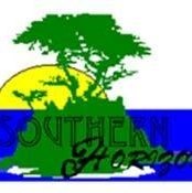 Southern Horizon Netball Club logo