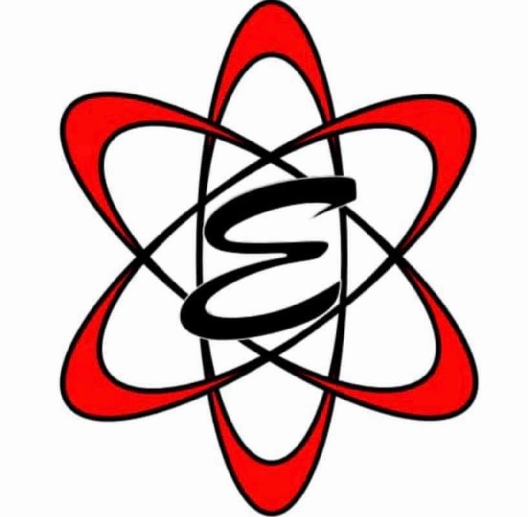 Elementz Sportz Group logo