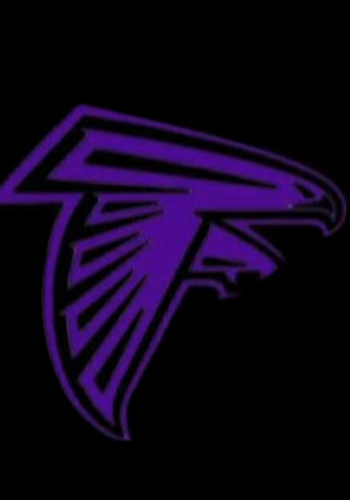 Glen Innes Falcons Netball logo