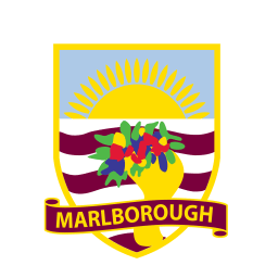 Marlborough Cricket logo