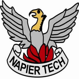 Napier Technical Old Boys CC logo