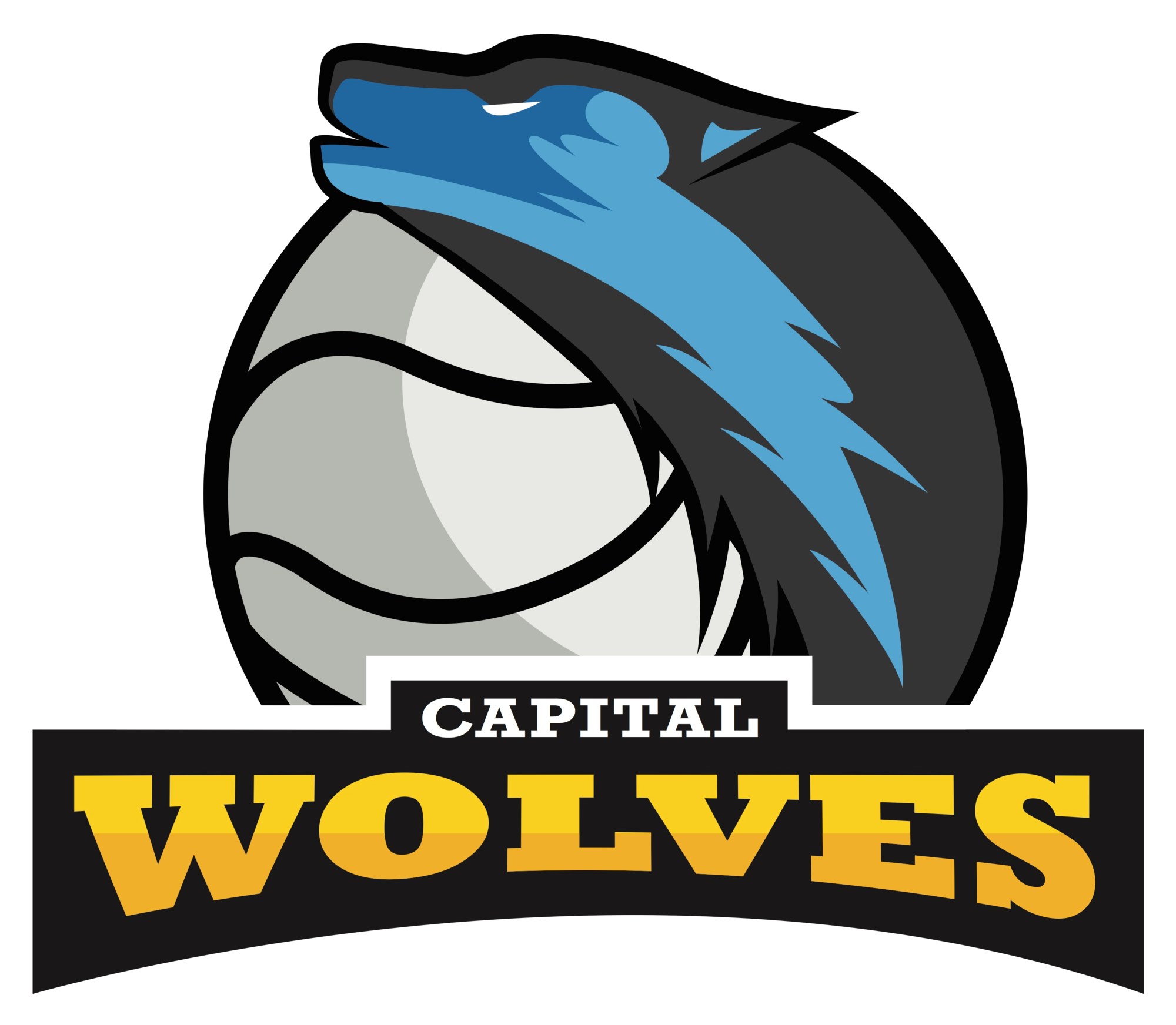 Capital Wolves Volleyball Club logo
