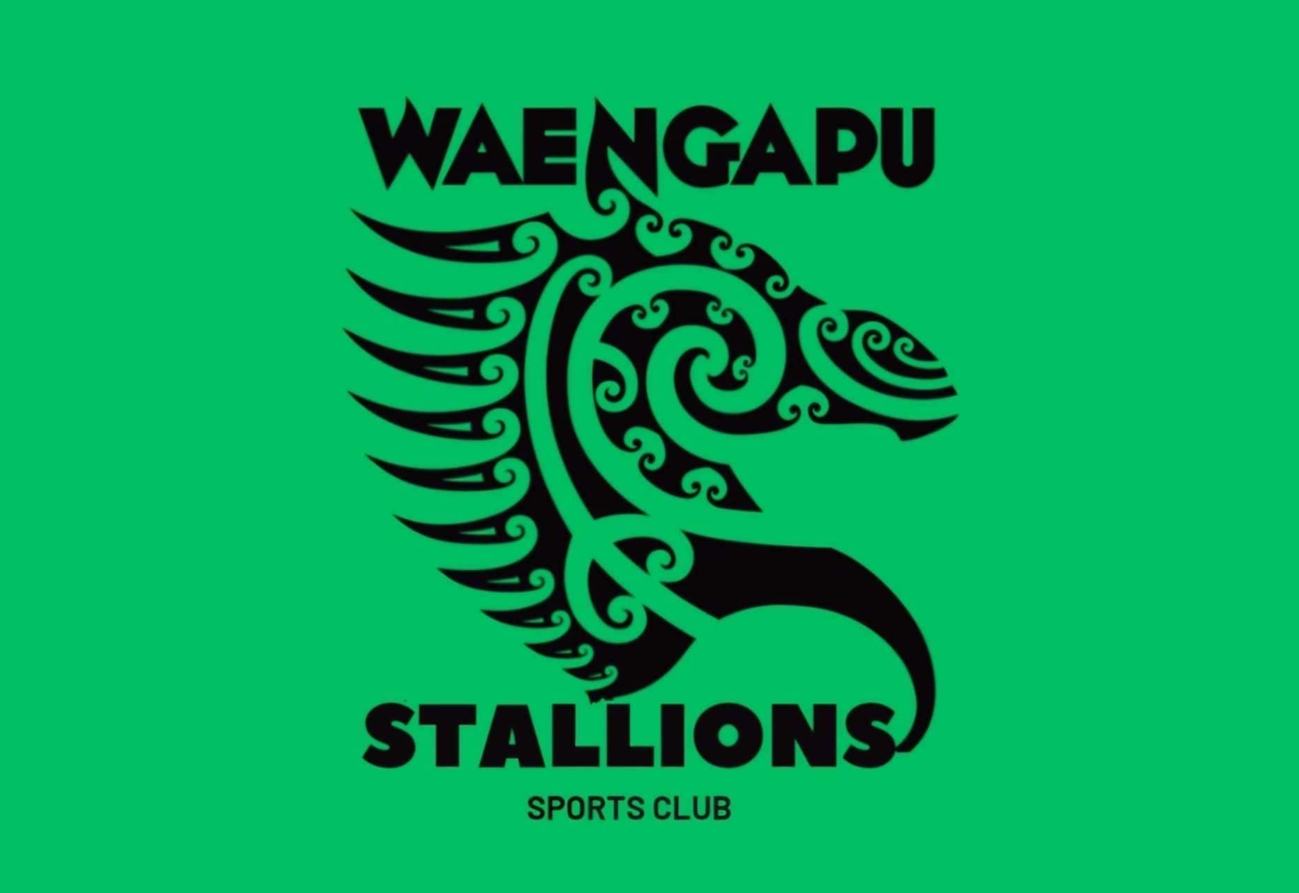 Waengapu Stallions logo