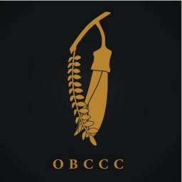 Ocean Beach County Cricket Club logo