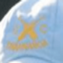 Swannanoa Cricket Club logo
