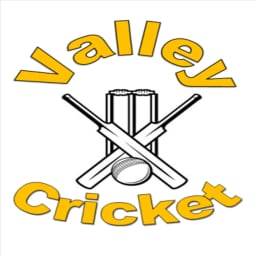 Valley Cricket Club (Waikato) logo