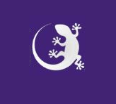 Goannas Netball Club logo