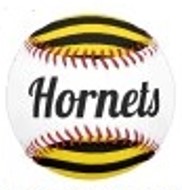 Bream Bay Hornets Softball Club logo