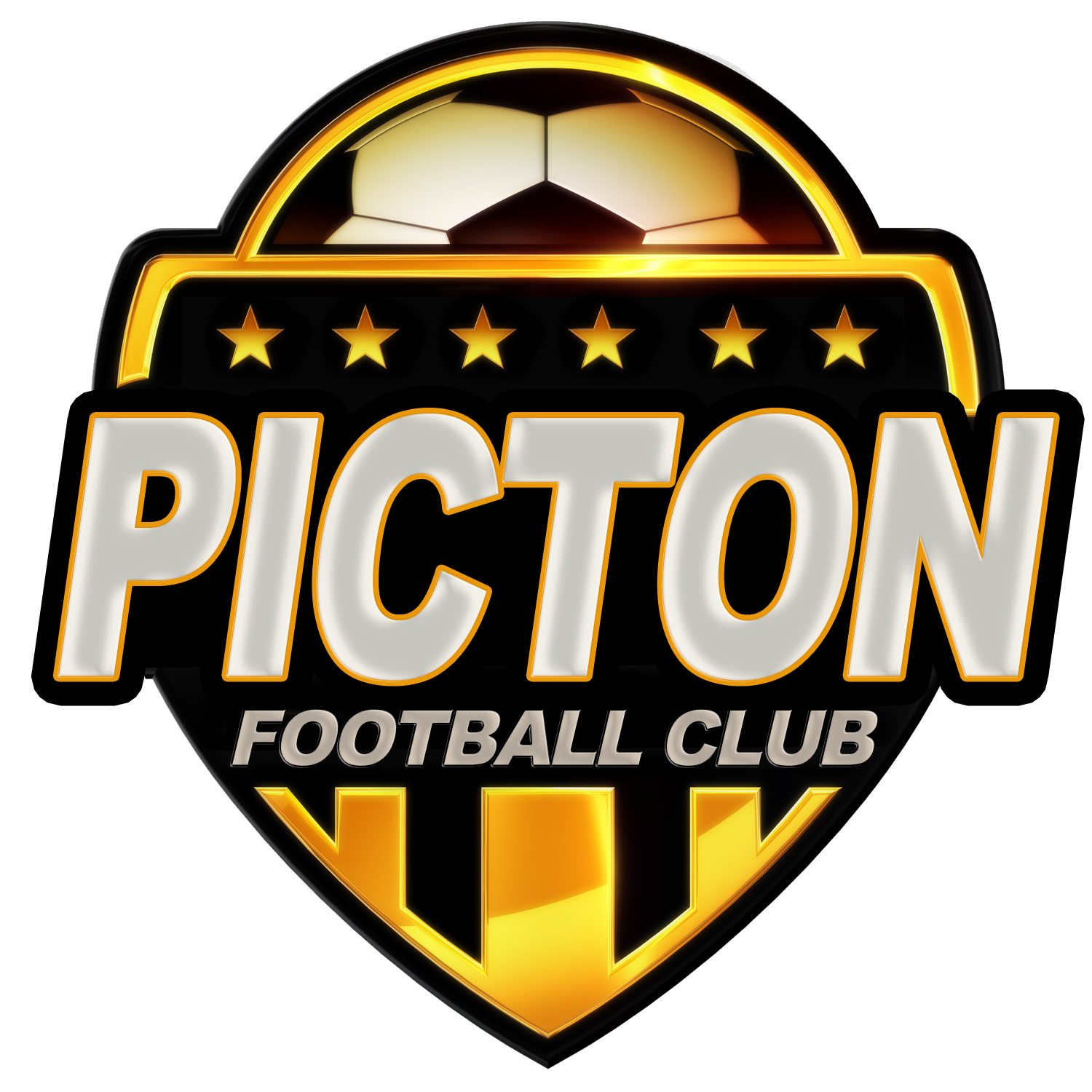 Picton FC logo