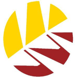 North Otago Cricket logo