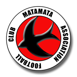 Matamata Swifts Futsal logo
