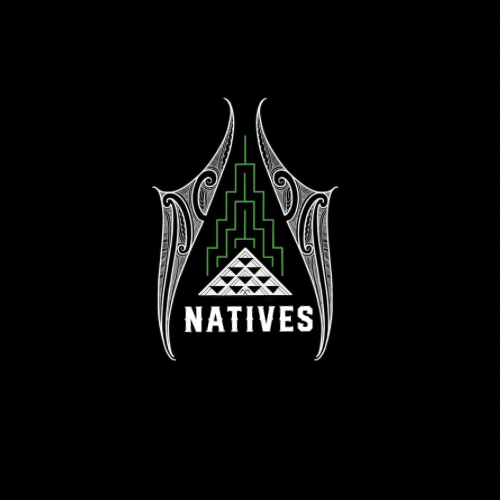Native Sports Performance logo