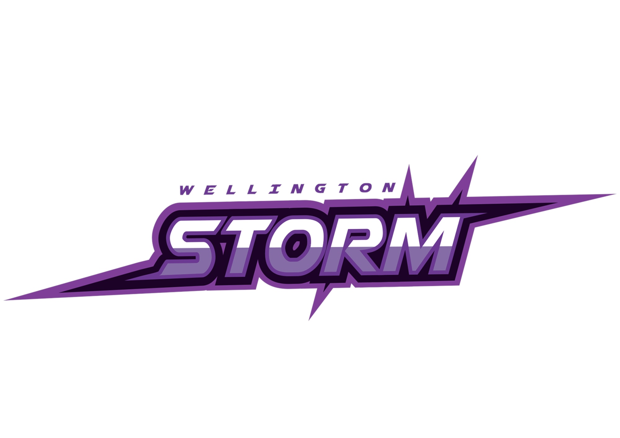 NZIS Storm Volleyball Club logo