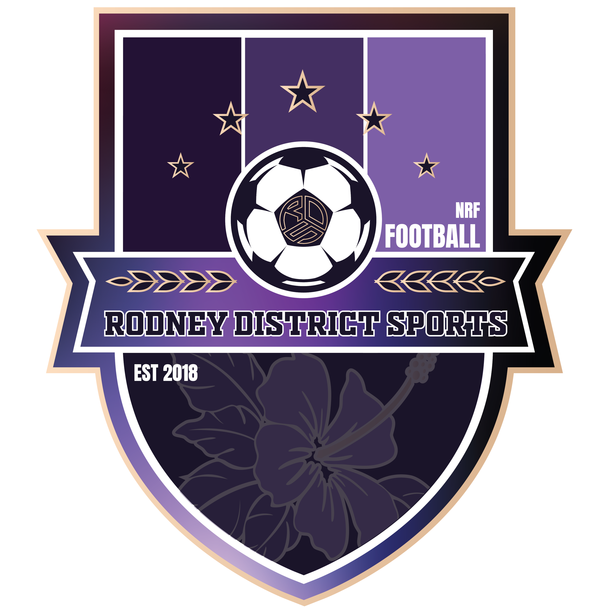Rodney District Sports Club logo