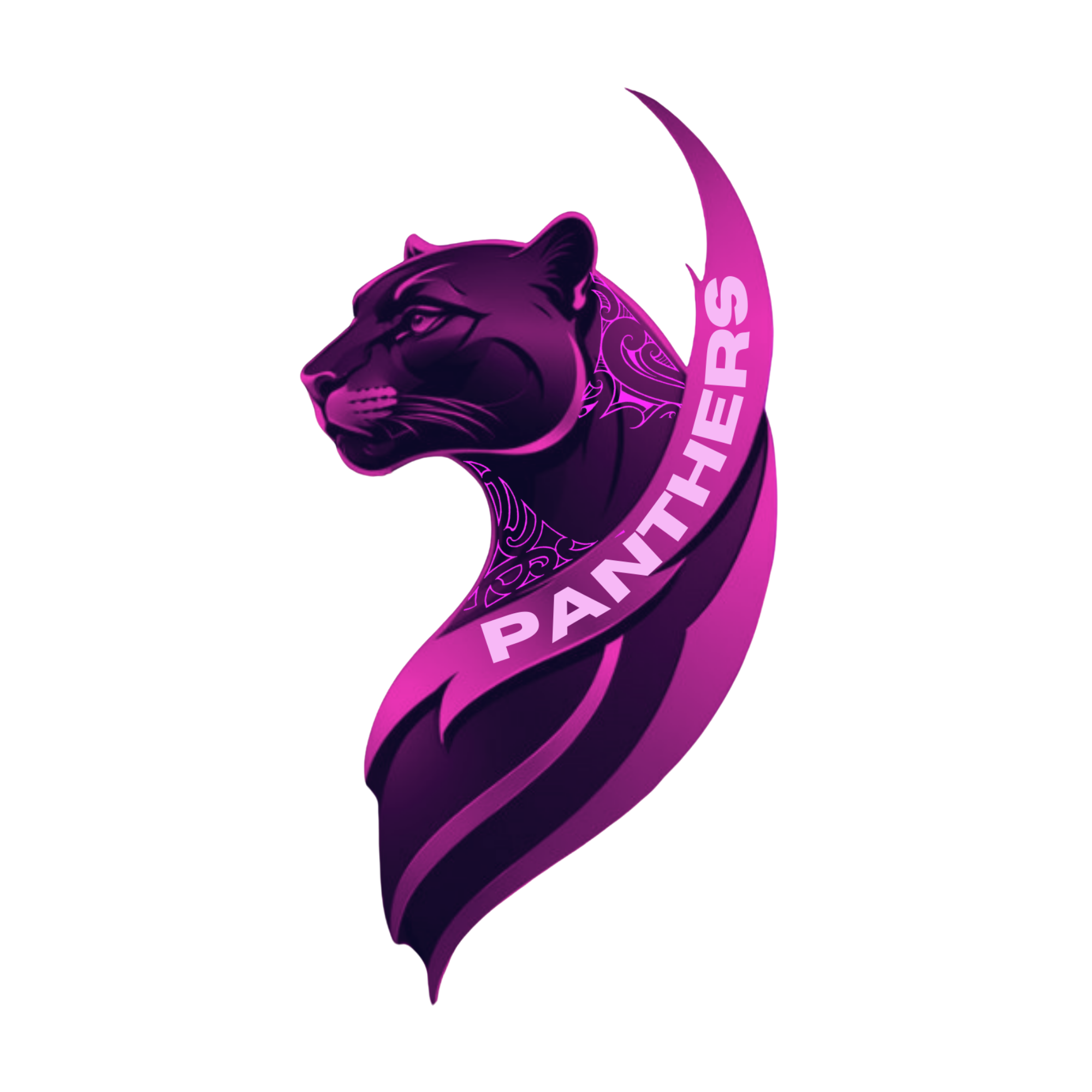 Wairoa Panthers logo