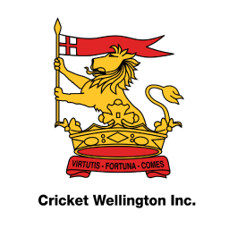 Cricket Wellington Representative logo